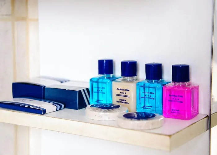 فندق Anittepe 2000